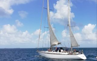 51090800_10155998631016546_4877409099500748800_n grande